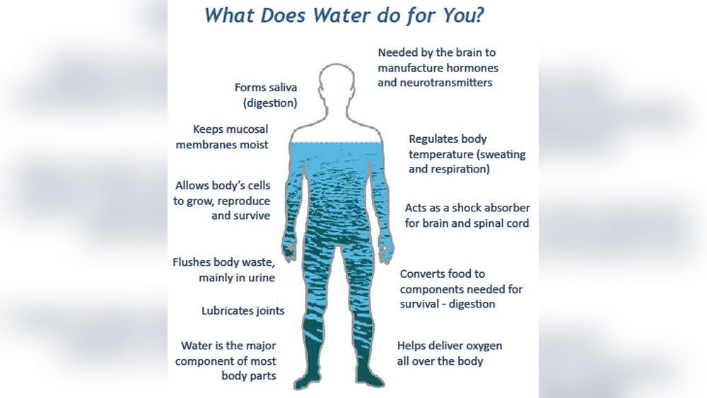 How Water Helps the Body