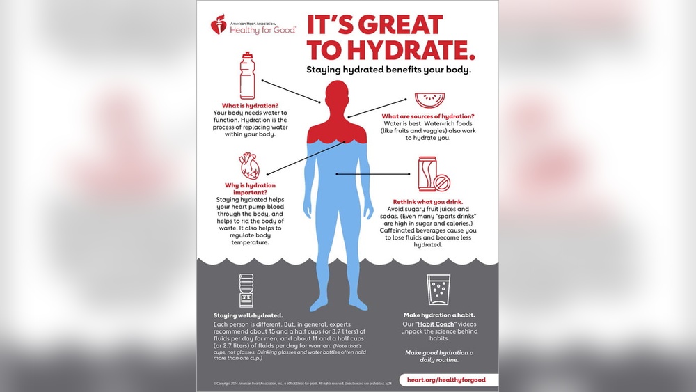 How Water Hydrates the Body