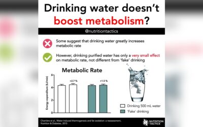 How Water Improves Metabolism
