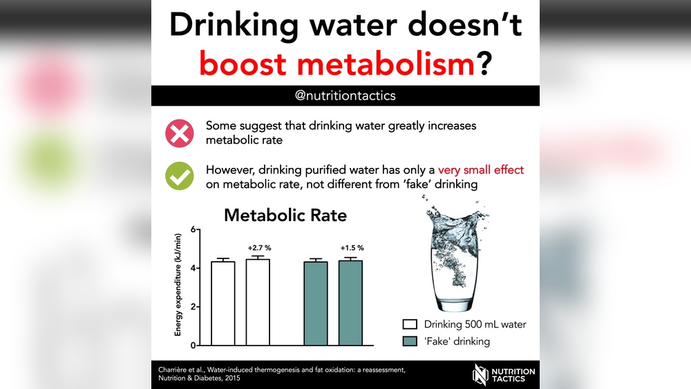 How Water Intake Affects Metabolism