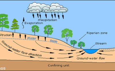 How Water Moves Through Soil