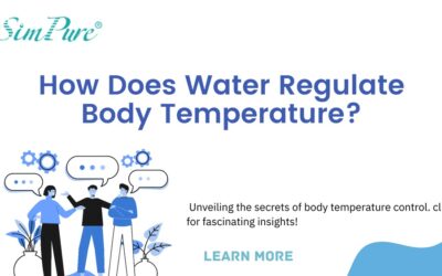 How Water Regulates Body Temperature