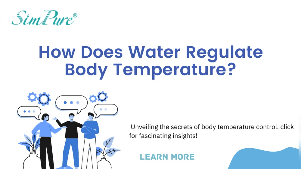How Water Regulates Body Temperature