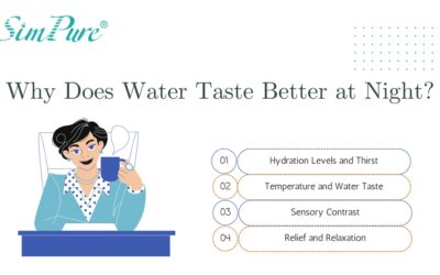 Why Water Tastes Different at Night
