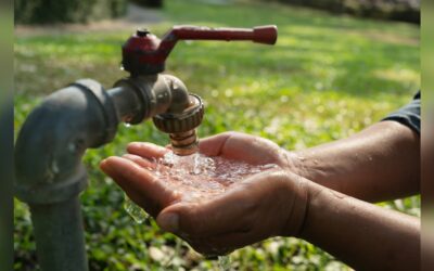 How Does Water Quality Affect Health: Shocking Truths Revealed