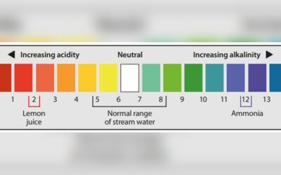 How to Measure Water Purity: Easy Steps for Accurate Testing