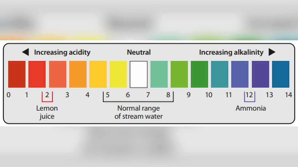How to Measure Water Purity