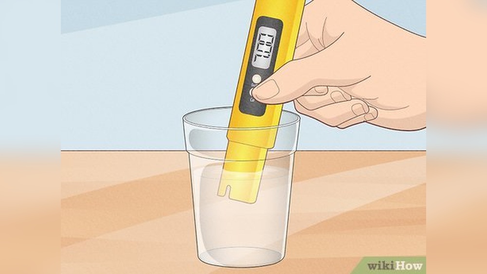 How to Test Ph Level in Water