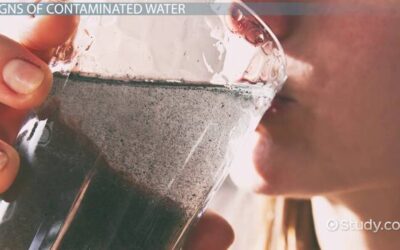 What are the Signs of Contaminated Water: Warning Symptoms to Watch